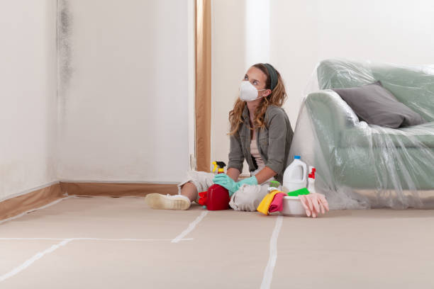 Reliable Mold Remediation contractor in Knoxville, MD by 24 Hour Mold Removal