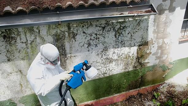Top rated local Mold Remediation specialists in Knoxville, MD